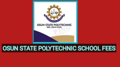 Iree Poly School Fees