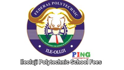 Ileoluji Polytechnic school fees